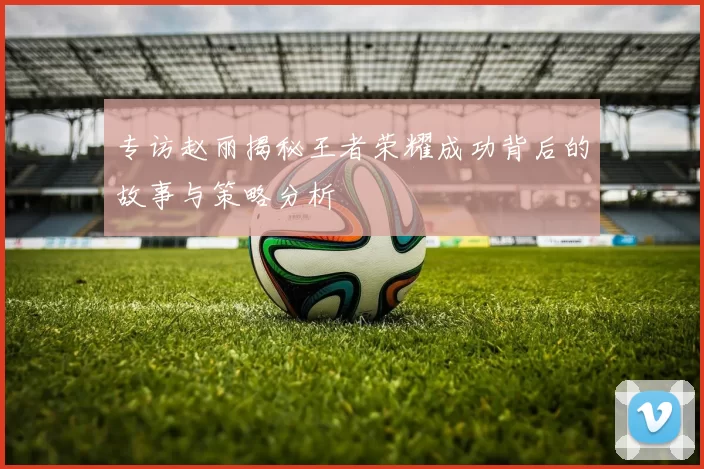 专访赵丽揭秘王者荣耀成功背后的故事与策略分析