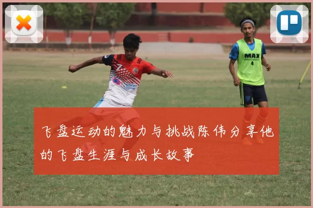 飞盘运动的魅力与挑战陈伟分享他的飞盘生涯与成长故事