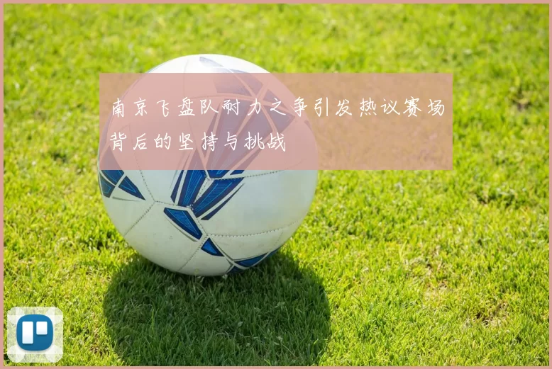 南京飞盘队耐力之争引发热议赛场背后的坚持与挑战