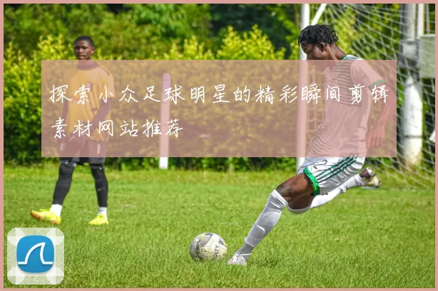 探索小众足球明星的精彩瞬间剪辑素材网站推荐