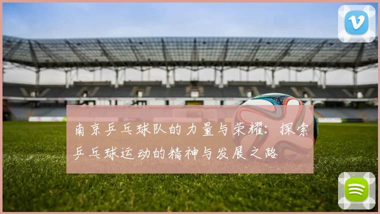 南京乒乓球队的力量与荣耀：探索乒乓球运动的精神与发展之路