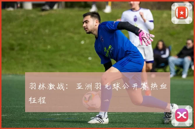 羽林激战：亚洲羽毛球公开赛热血征程