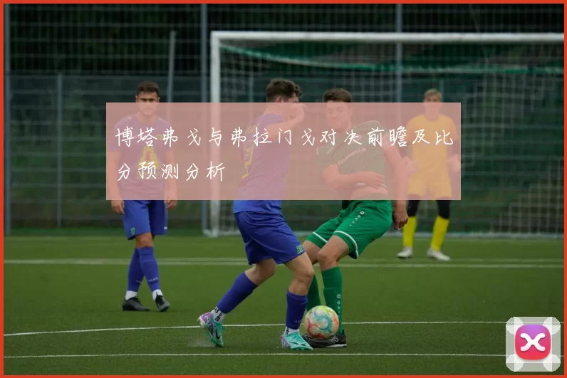 博塔弗戈与弗拉门戈对决前瞻及比分预测分析