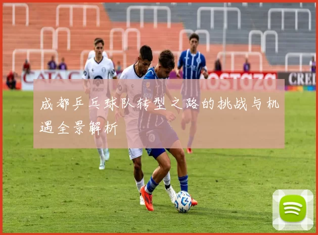 成都乒乓球队转型之路的挑战与机遇全景解析