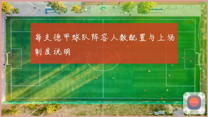 每支德甲球队阵容人数配置与上场制度说明
