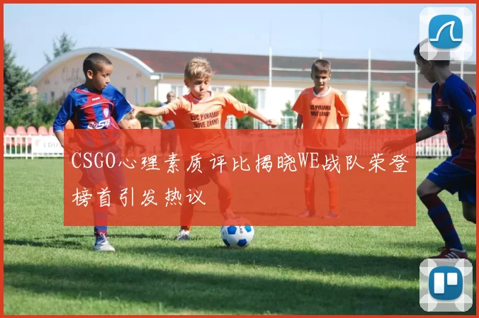 CSGO心理素质评比揭晓WE战队荣登榜首引发热议