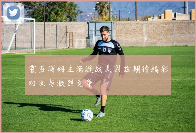 霍芬海姆主场迎战美因兹期待精彩对决与激烈竞争