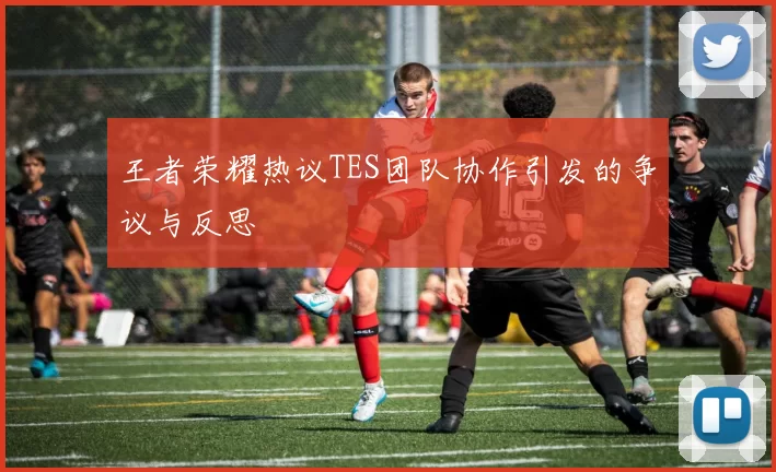 王者荣耀热议TES团队协作引发的争议与反思