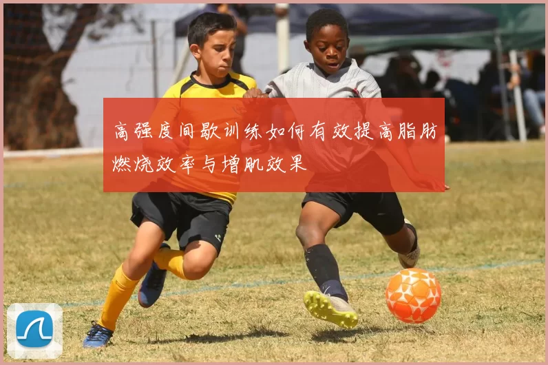 高强度间歇训练如何有效提高脂肪燃烧效率与增肌效果