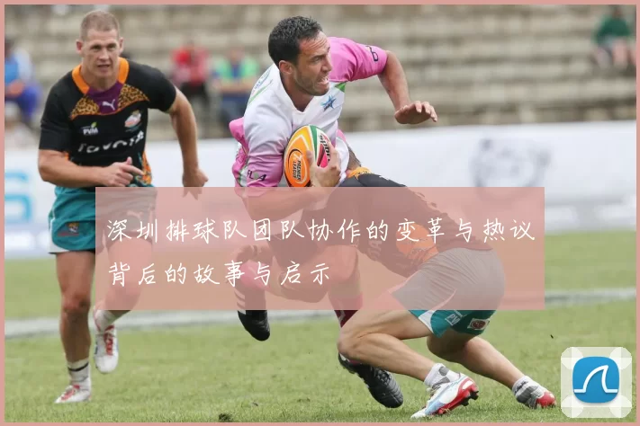深圳排球队团队协作的变革与热议背后的故事与启示
