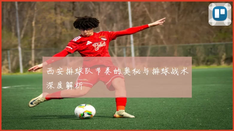 西安排球队节奏的奥秘与排球战术深度解析