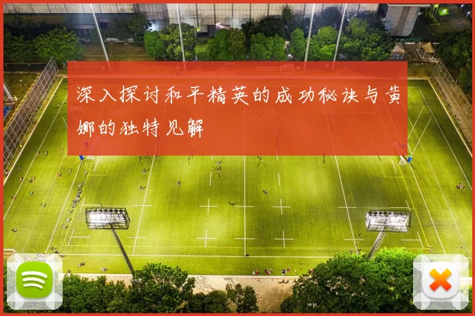 深入探讨和平精英的成功秘诀与黄娜的独特见解