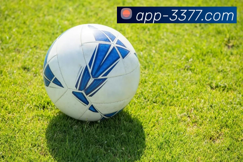 3377体育服务体系